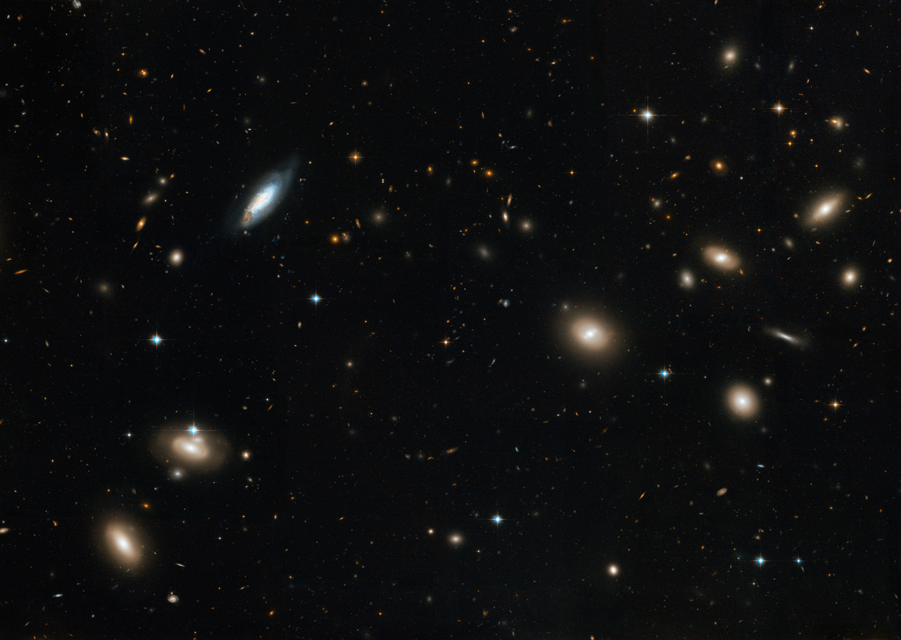 Archival Hubble view of part of the Coma galaxy cluster, showing golden elliptical galaxies and a blue spiral against a dark background.