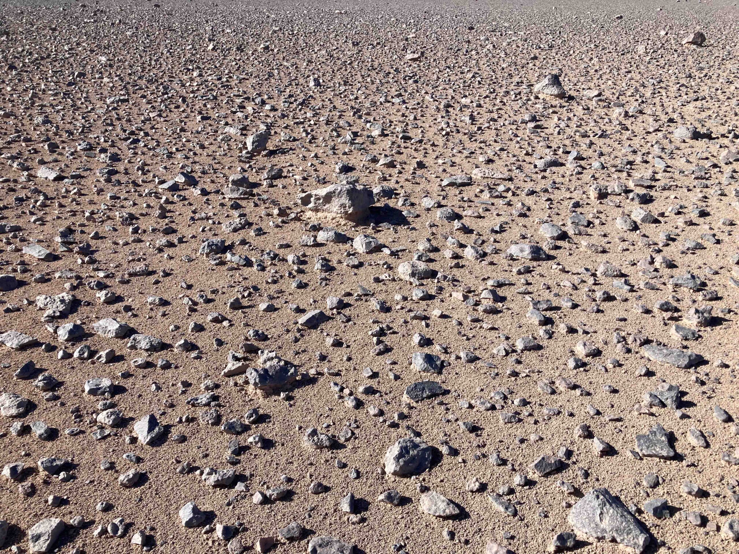 Hyperarid landscape at the North of Antofagasta sampling site in Chile’s Atacama Desert