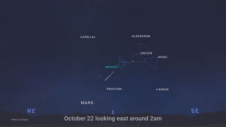 Orionid Meteor Shower 2026: When to Look and What to Expect