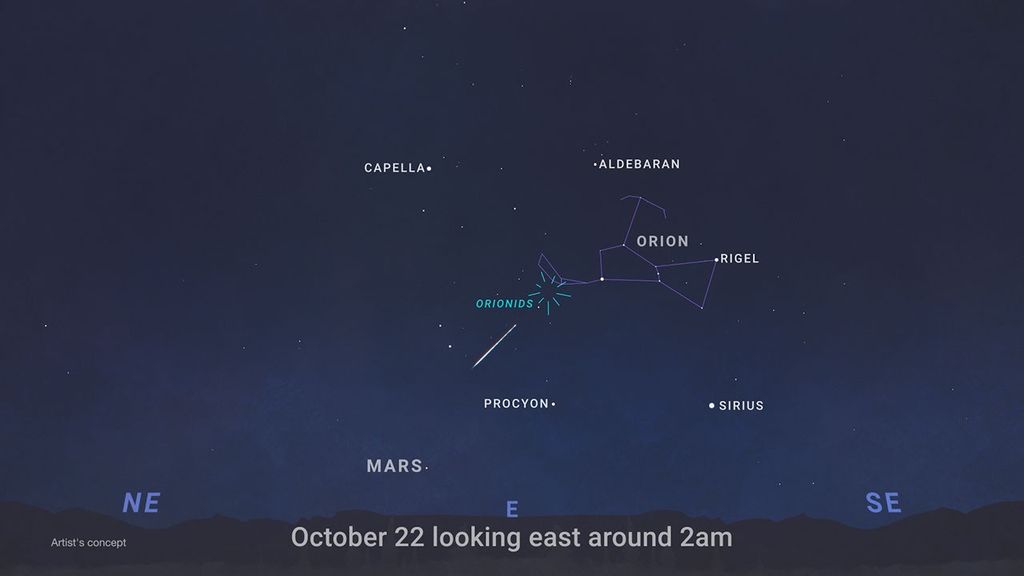 NASA sky chart illustrating the Orionid meteor shower and surrounding stars.