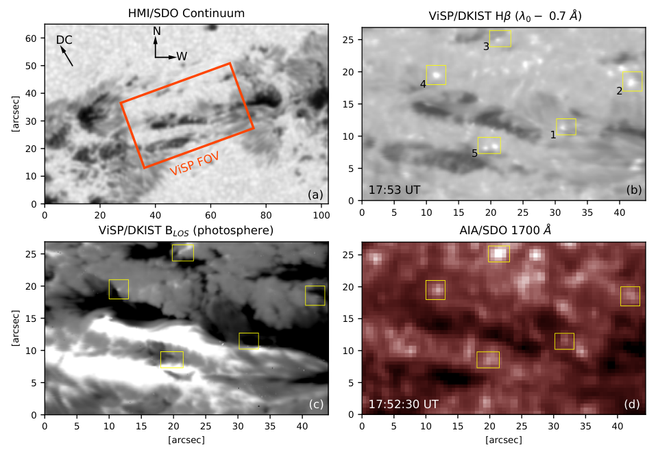 Four-panel solar observation showing a sunspot region, Ellerman-bomb brightenings, inferred magnetic polarities and ultraviolet emission.