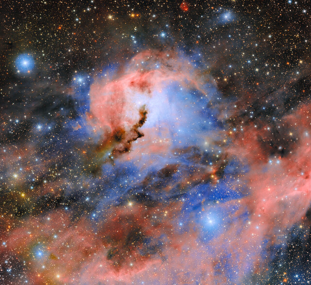 Pink and blue nebulosity surrounds a jagged dark dust ridge amid a dense field of stars in Rubin’s Seagull Nebula image.