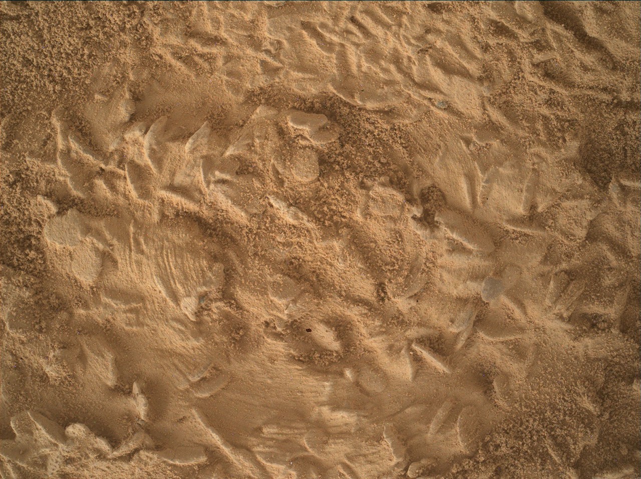 Curiosity’s MAHLI close-up of the Nazca rock target showing disc-shaped features and scratches from its dust-removal brush.