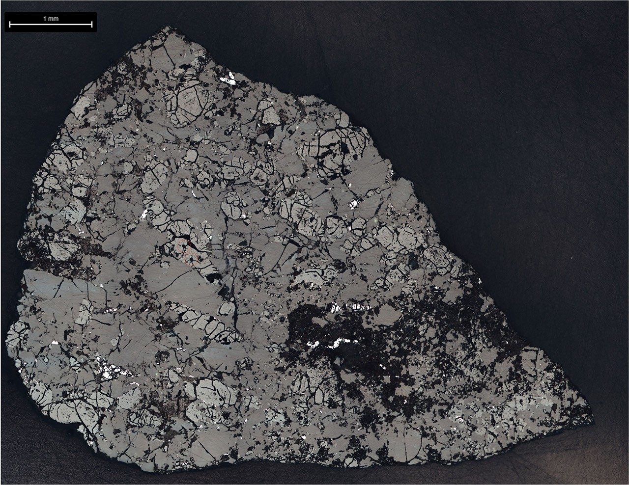 A laboratory slice of the Martian meteorite Teghaza 001 showing mineral grains, fractures and a one-millimeter scale.